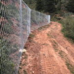 Tragsa | Trabajos realizados Cerralba Albacete