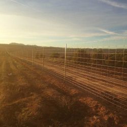 Mallas ganado Albacete