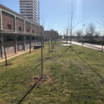 Vallado en Legazpi | Cerralba, Vallas industriales Albacete