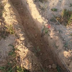 Cerramiento protección tortuga mora | Cerralba Albacete