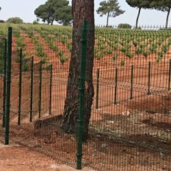 Cerramiento Hércules Quintanar del Rey en vivero forestal | Cerralba Cuenca