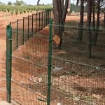 Cerramiento Hércules Quintanar del Rey en vivero forestal | Cerralba