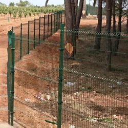 Cerramiento Hércules Quintanar del Rey en vivero forestal | Cerralba