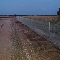 Vallado para la protección contra jabalíes en plantación de trufa provincia Cuenca.