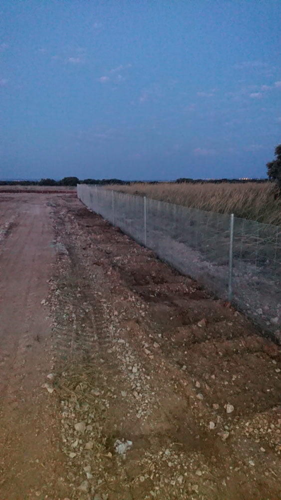Vallado para la protección contra jabalíes en plantación de trufa provincia Cuenca.